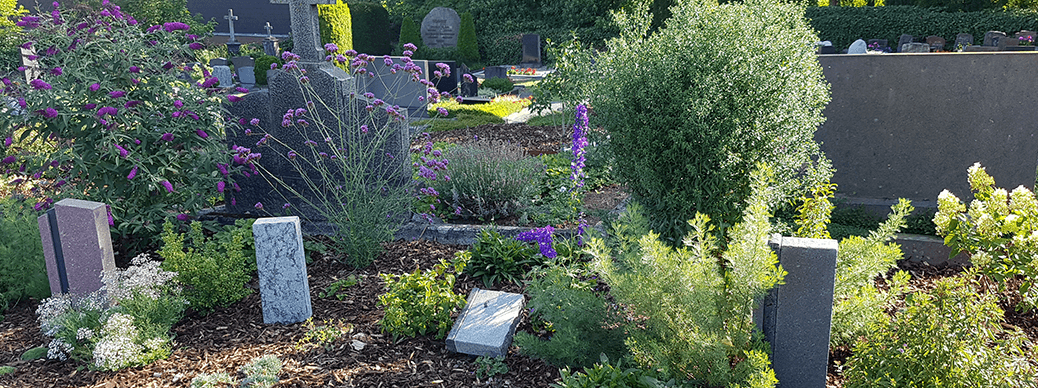 Blumen-Fischer Hungen Memoriam Garten