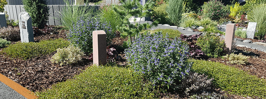 Blumen-Fischer Hungen Memoriam Garten