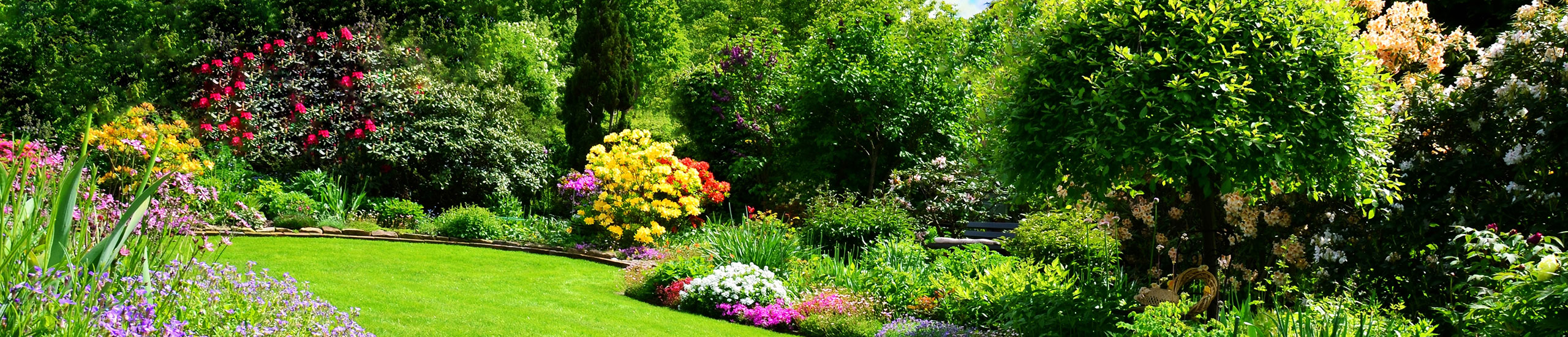 Blumen für Geburt, Hochzeit, Geburtstag oder Trauerfall